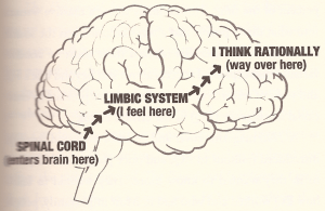 physical-pathway-for-emotional-intelligence